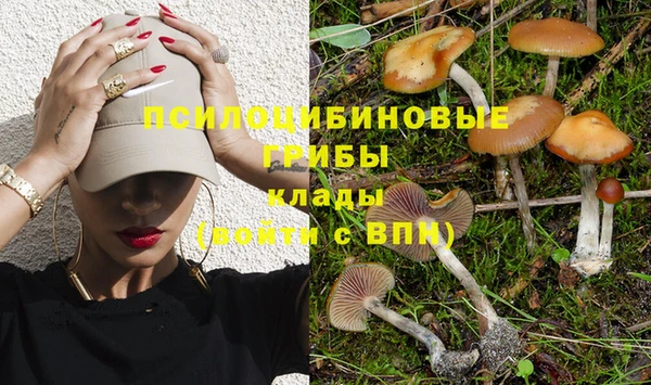ешки Надым