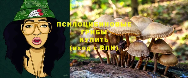 ешки Надым