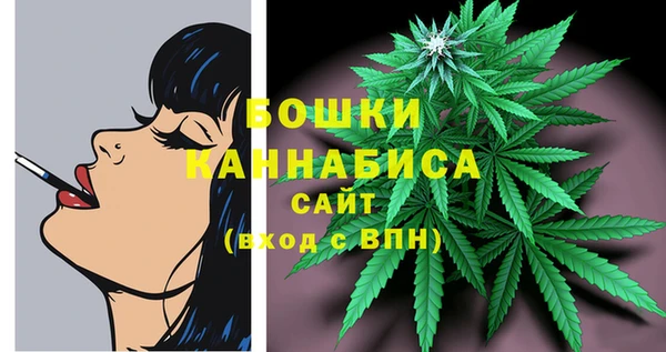 ешки Надым